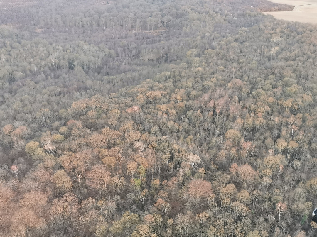 Para Ton Air - Ulm Paramoteur-Crepy-en-Valois必去景点