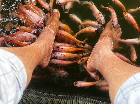 SS Lanka Tours-凯拉尼亚必去景点