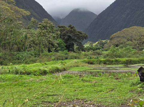 Waipio Valley Shuttle-库库伊哈尔必去景点