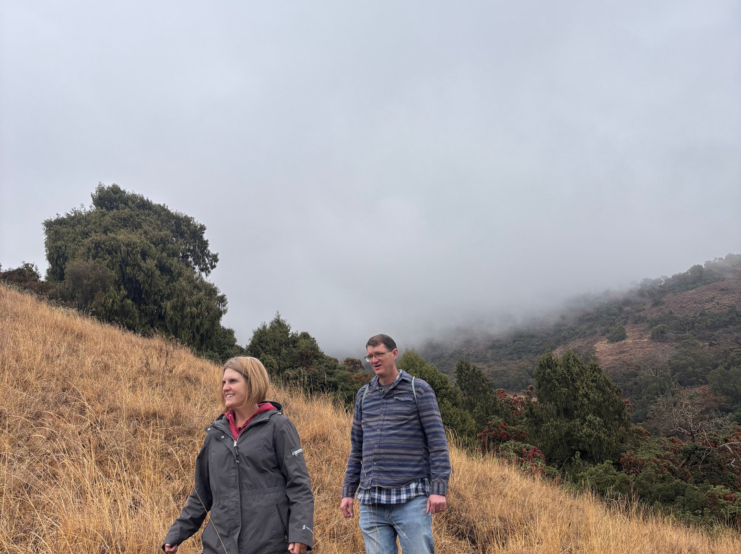 Bale Mountains Trekking Tours-Bale Robe必去景点