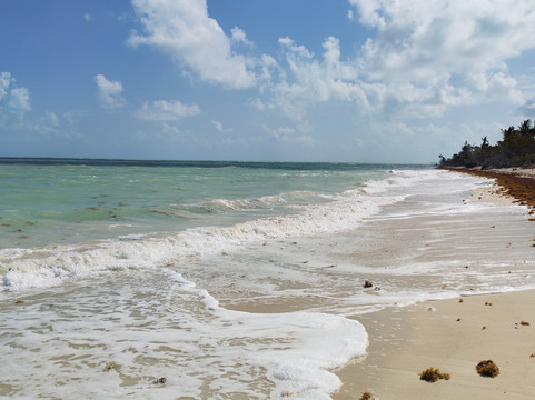 My Holbox Tours-Holbox必去景点