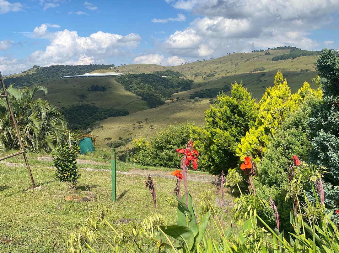 Leone di Venezia Winery-Sao Joaquim必去景点