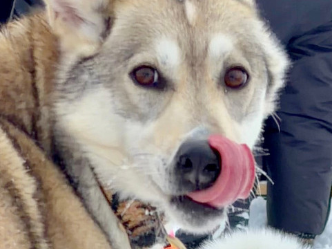 O'Nordic-Posio必去景点