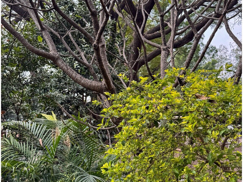 Japalouppe Equestrian Centre-Talegaon必去景点