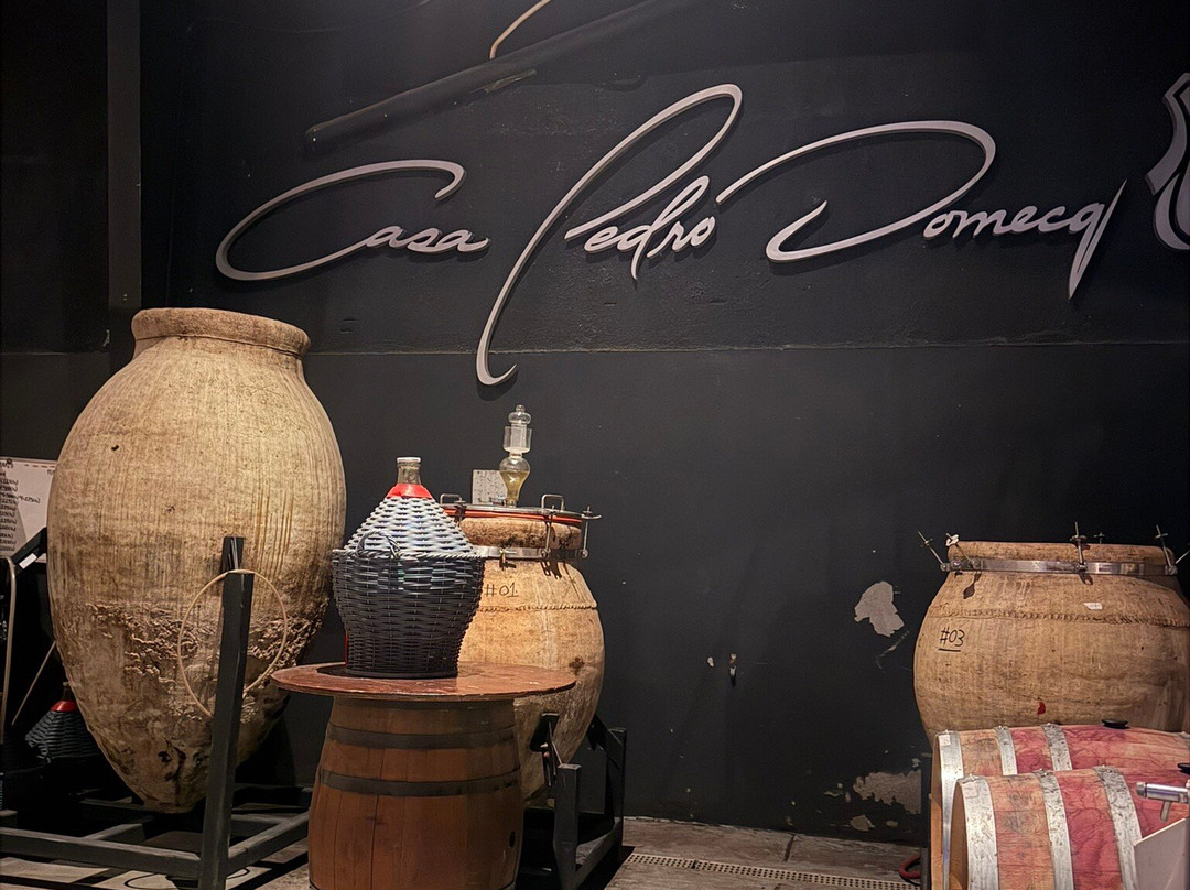 Bodegas Domecq-恩塞纳达必去景点