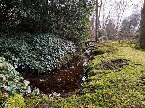 Greba Secret Gardens Greyabbey-Greyabbey必去景点