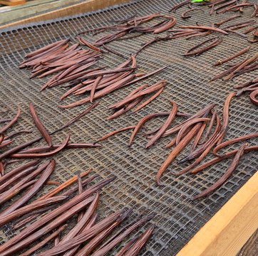 Hilo Shark Tours-帕派科欧必去景点