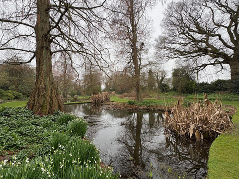 Beth Chatto's Plants & Gardens-科尔切斯特必去景点