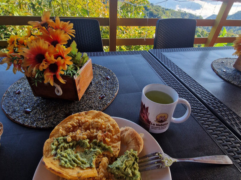 Ecoturismo La Nohelia-Jerico必去景点