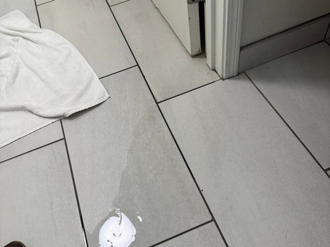 Staybridge Suites 皮奥里亚- DOWNTOWN主图