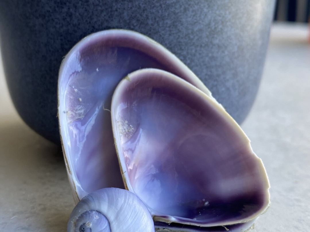 拜伦大人酒店主图