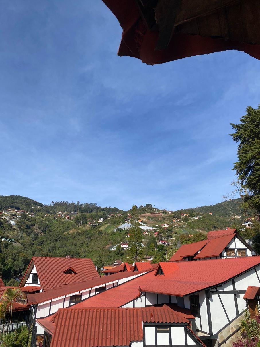 Hotel Selva Negra-官方