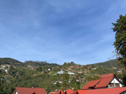 Hotel Selva Negra主图