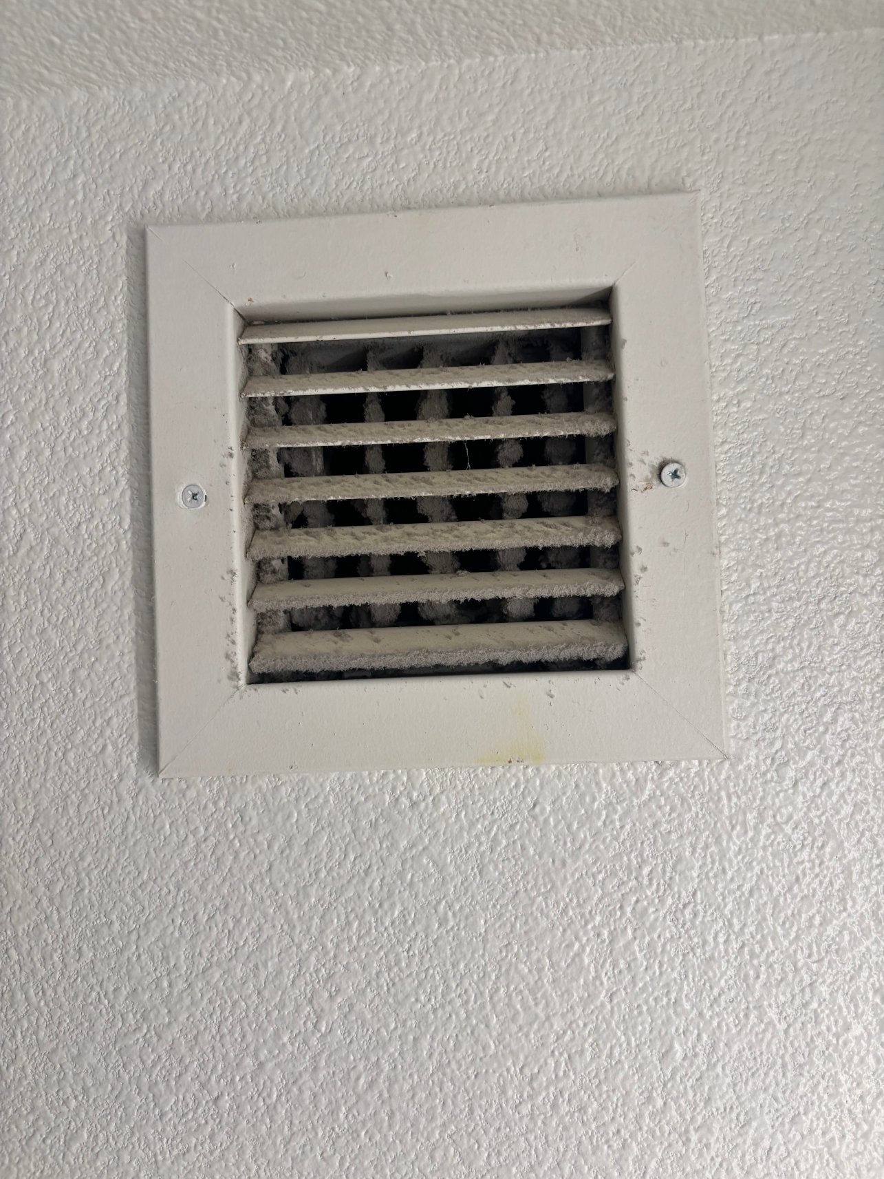 拉芙琳哈拉斯娱乐场酒店-官方