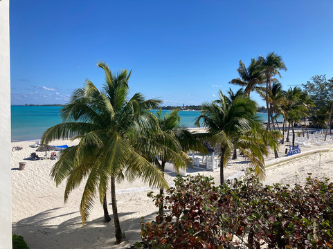 巴哈马清风水疗全包度假村-限成人主图