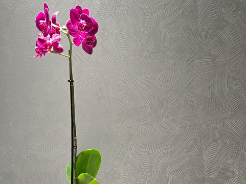 詹姆士公园酒店主图