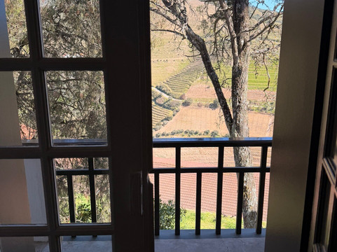 Quinta do Crasto-Sabrosa必去景点