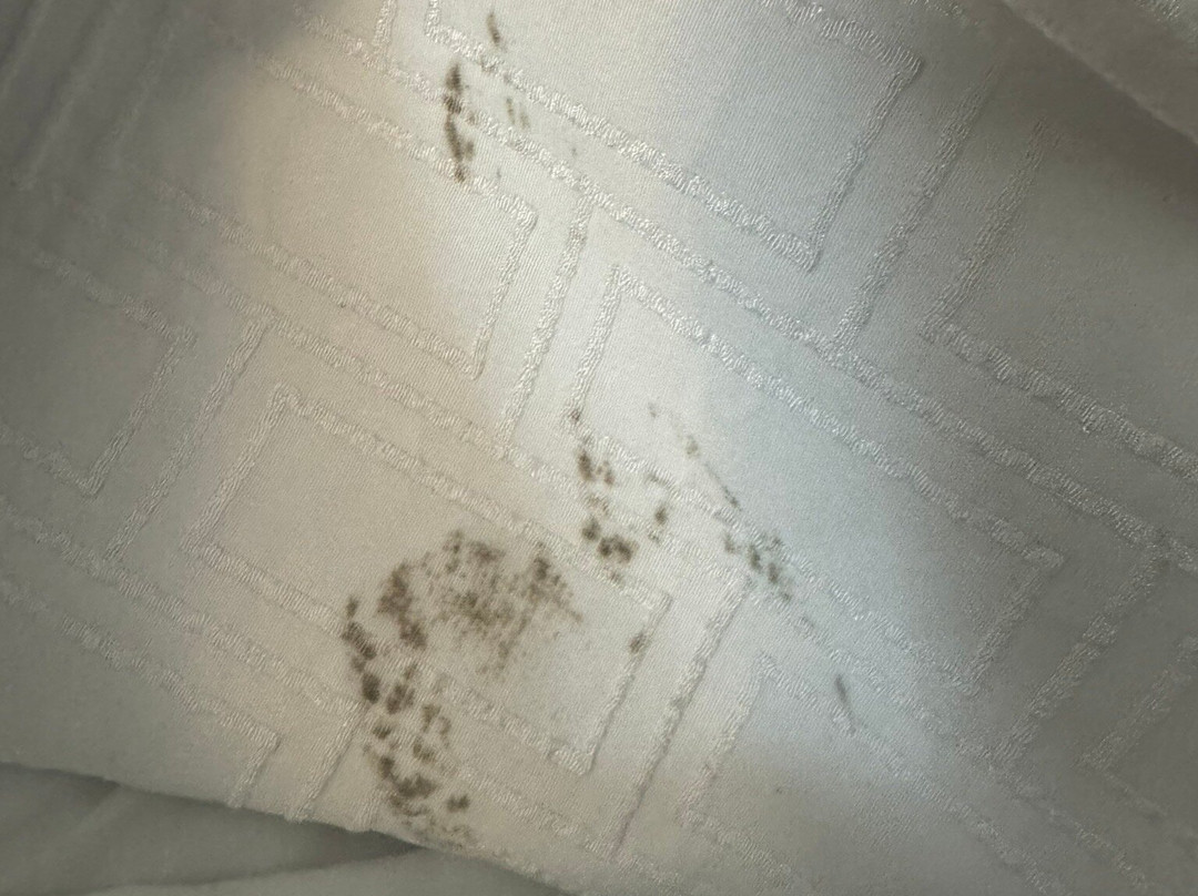 阿代尔斯维尔/卡尔霍恩区欢朋酒店主图