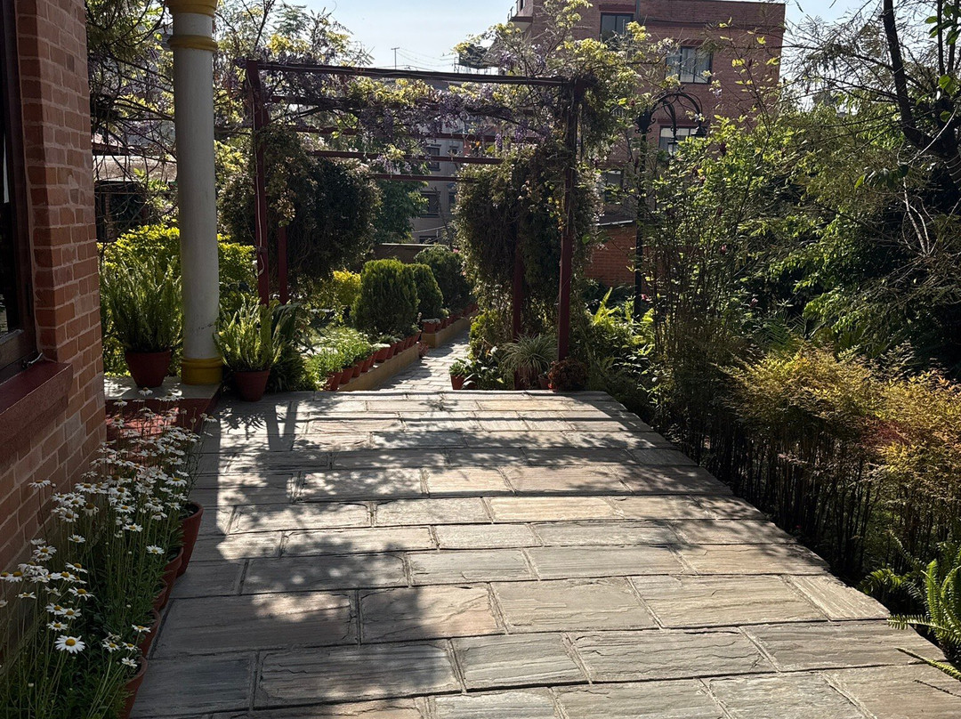 皇家道夫饭店主图