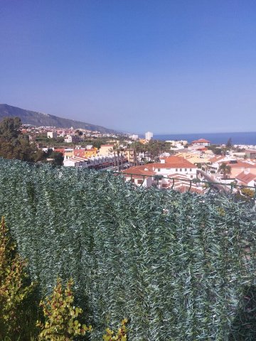 皇宫港口住宿-官方