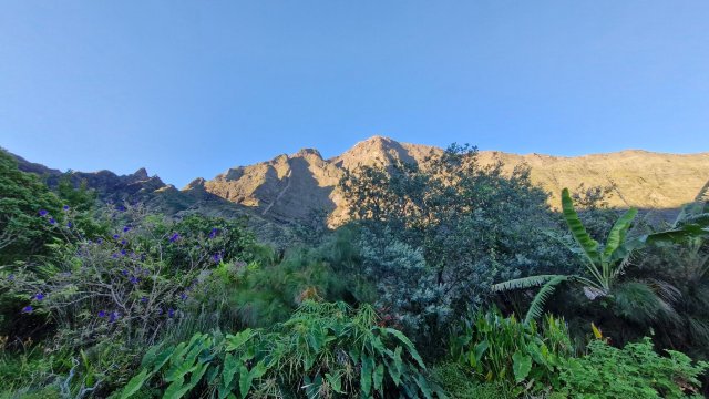 La Miellerie de Marla-官方