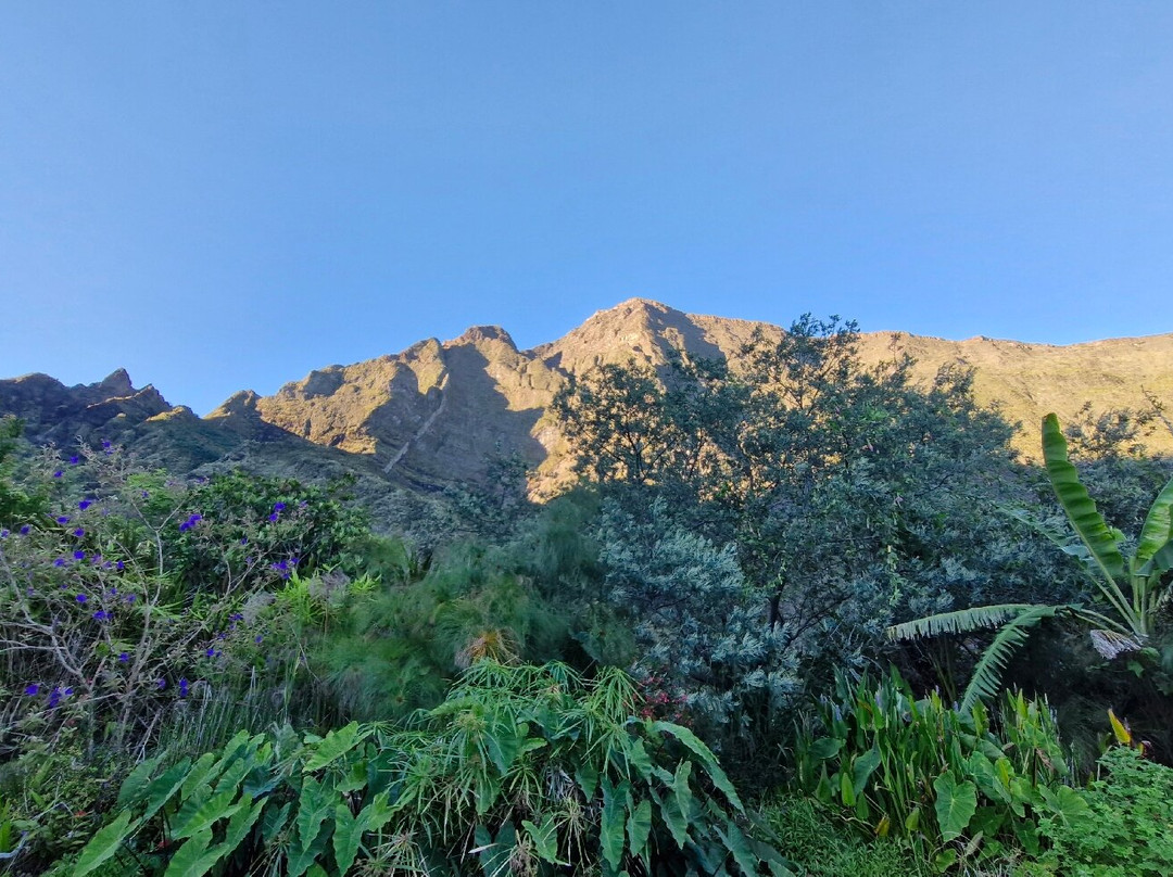 La Miellerie de Marla主图