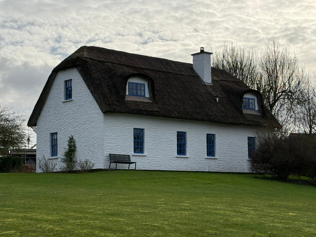 Irish Experience Tours-科克必去景点