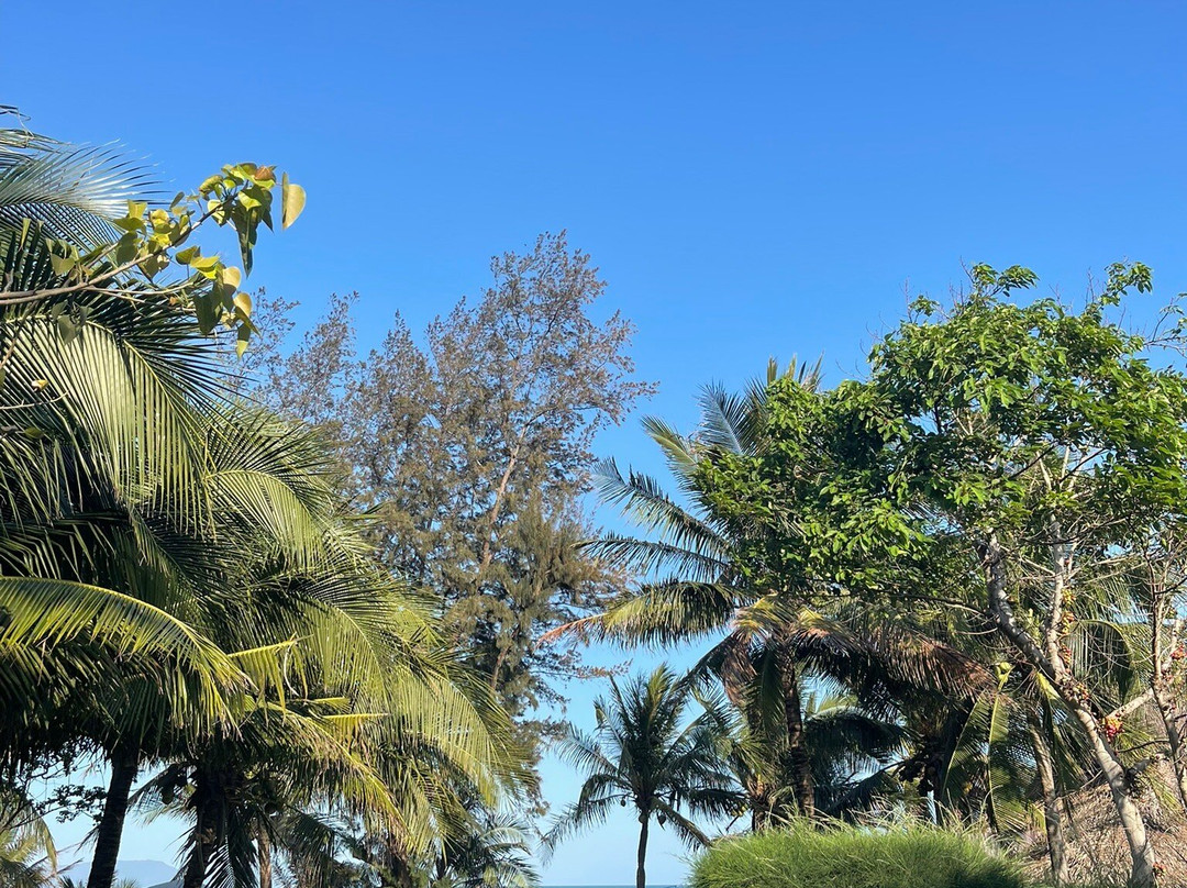 雷特海滩-芽庄必去景点