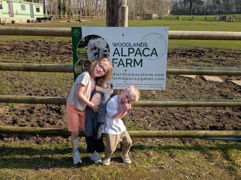 Woodlands Alpaca Farm-沃灵顿必去景点