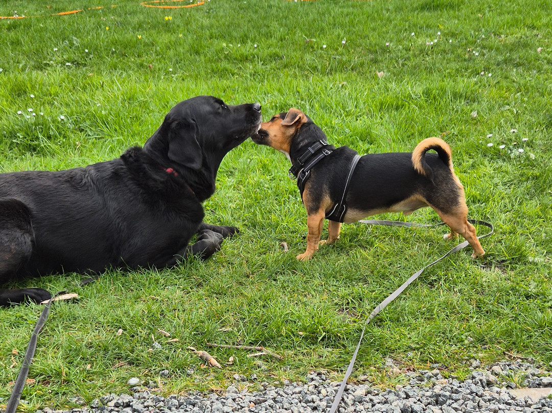 Bridge Hotel Restaurant