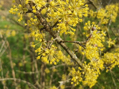 Parco Brianza Centrale-塞雷尼奥必去景点