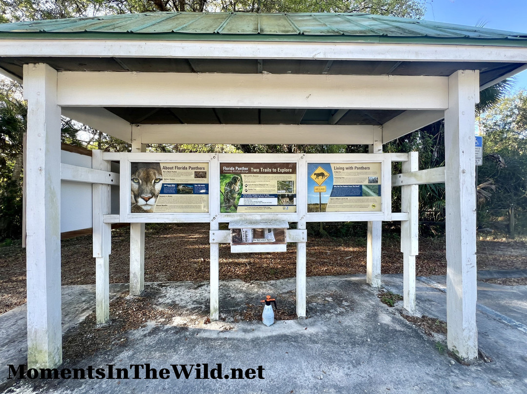 美洲狮国家野生动物保护区-Immokalee必去景点