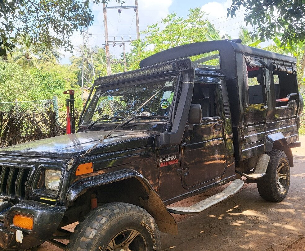 Minneriya Jeep Safari & Tours-锡吉里亚必去景点