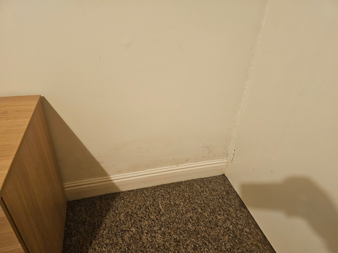 莱姆纽卡斯尔普瑞米尔酒店主图