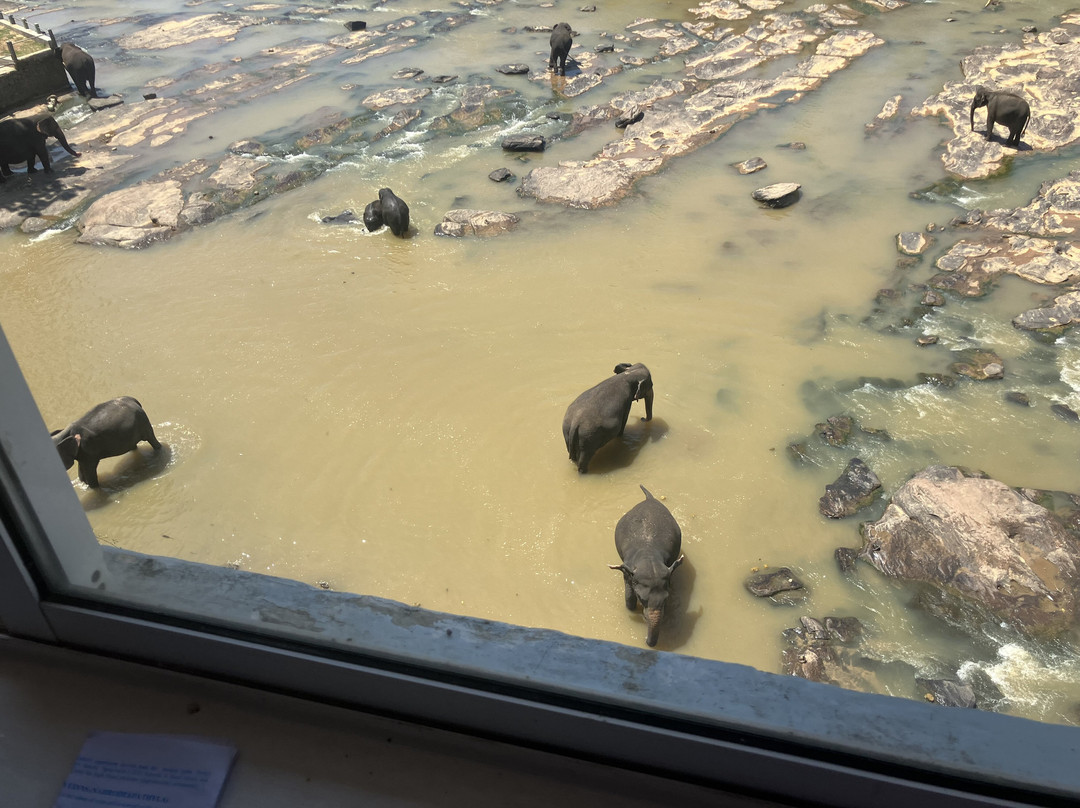 大象公园酒店主图