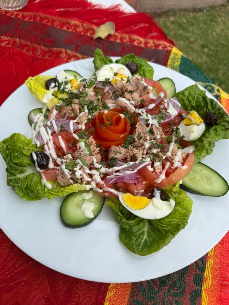 Chez Momo-官方