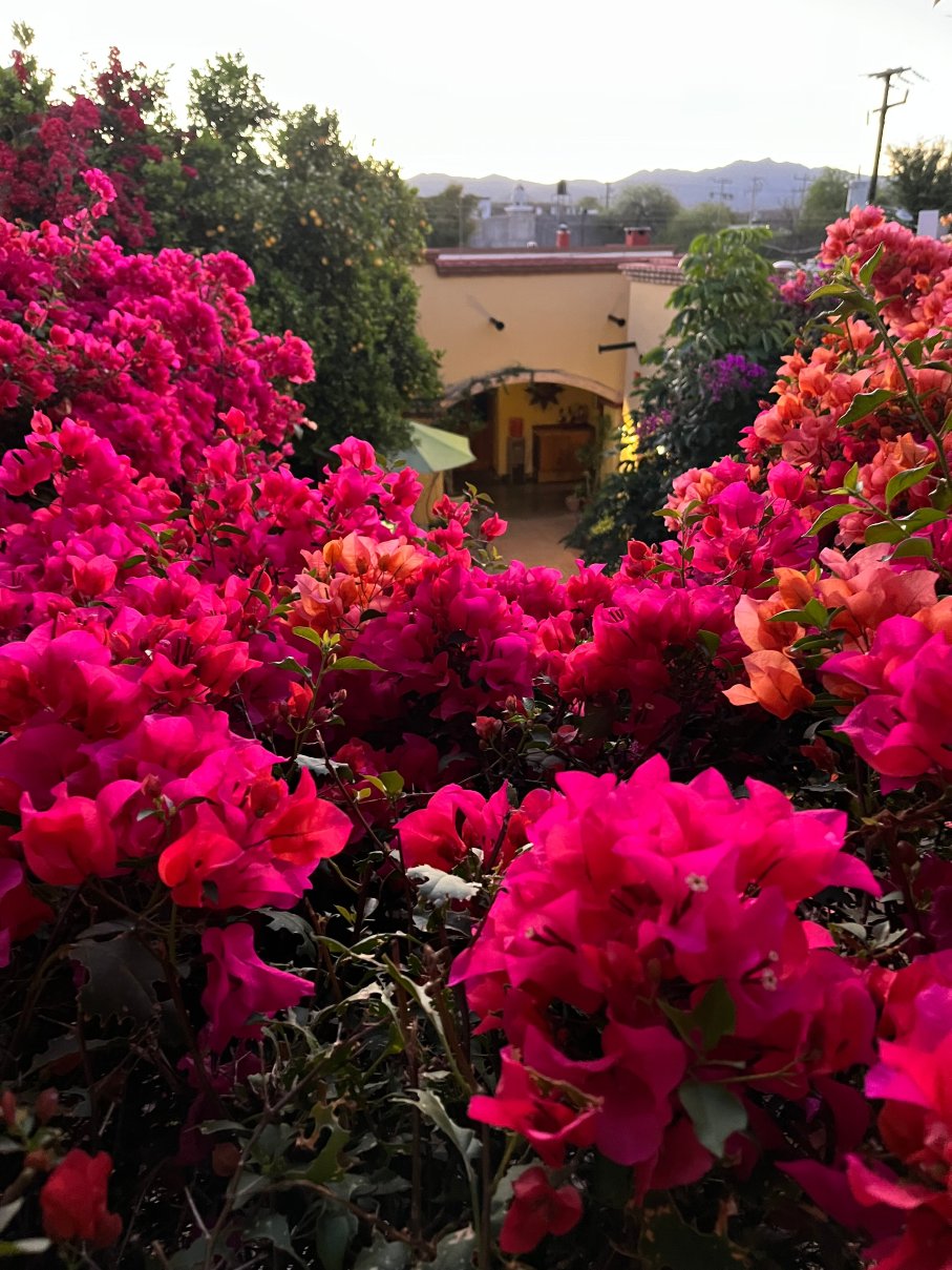 Hotel Los Arcos de Sonora-度假村/酒店