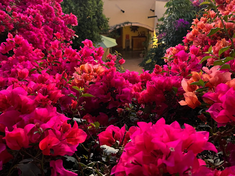 Hotel Los Arcos de Sonora主图