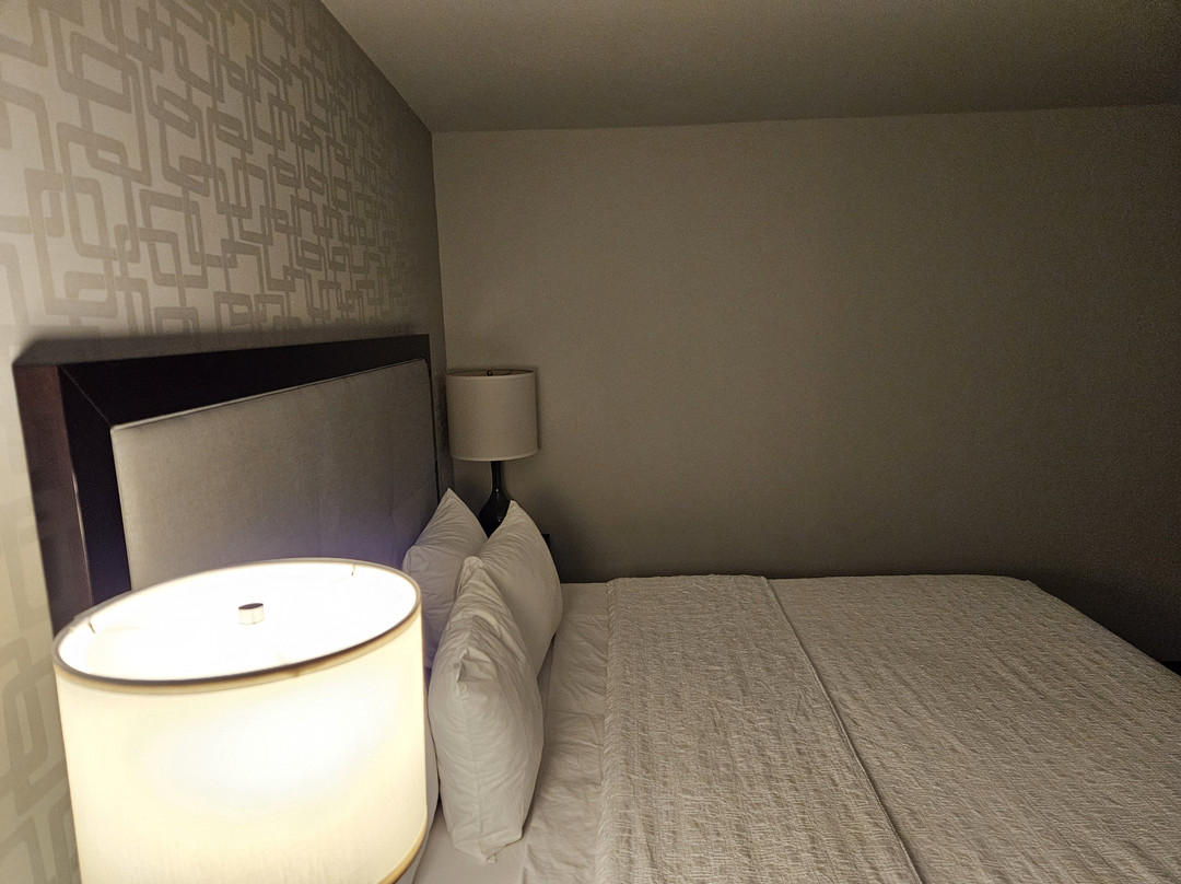 罗斯蒙特芝加哥奥黑尔欢朋套房酒店主图