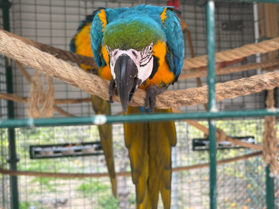 Hugo's Home Farm
