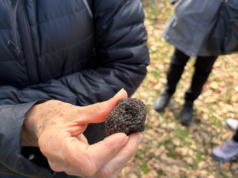Natural History Museum of Meteora & Mushroom Museum-卡兰巴卡必去景点