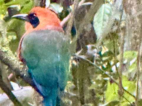 WAKING DREAMS COSTA RICA-圣何塞必去景点
