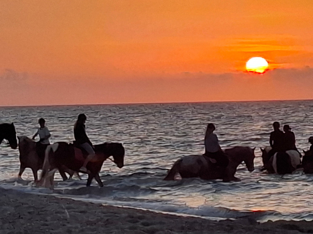 Erika's Horse Farm Kos-Marmari必去景点