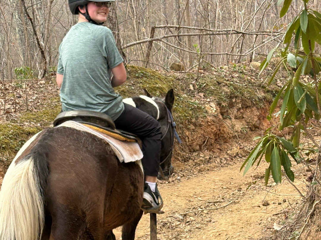 Sugarland Riding Stables-盖林柏格必去景点
