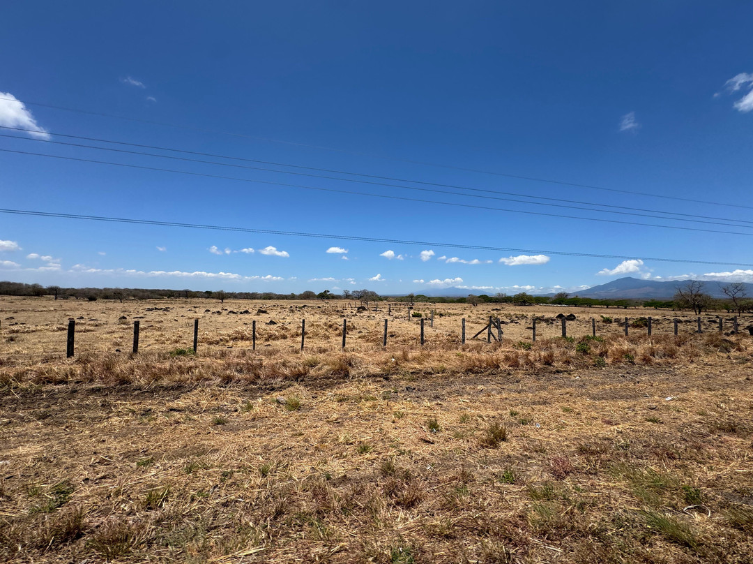 Tierra Latina-布宜诺斯艾利斯必去景点