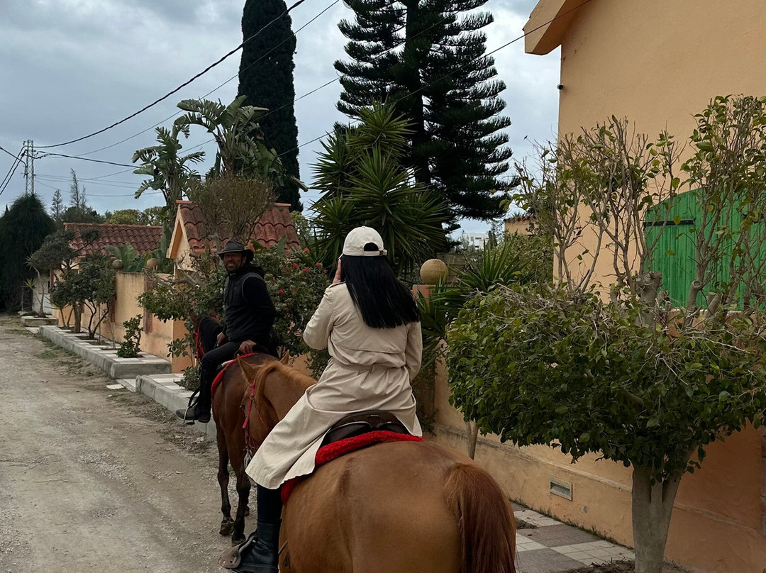 Club Equus Hammamet-哈玛麦德必去景点