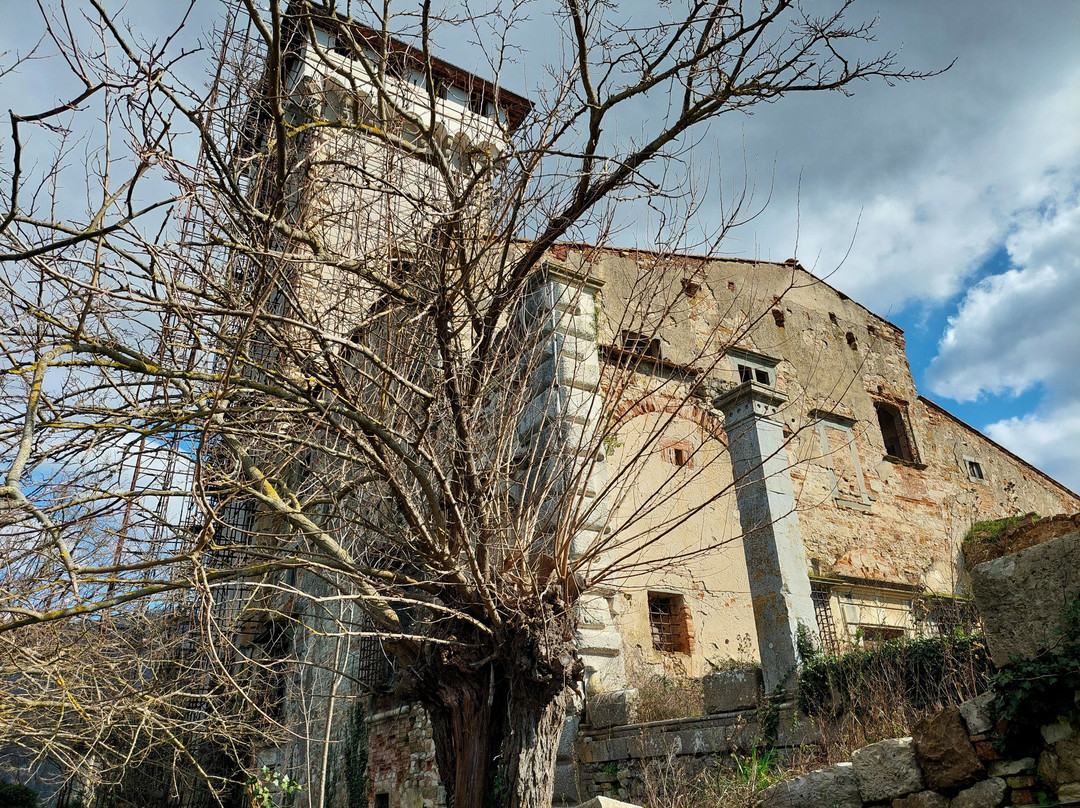 Torre di Baroncoli-卡伦扎诺必去景点