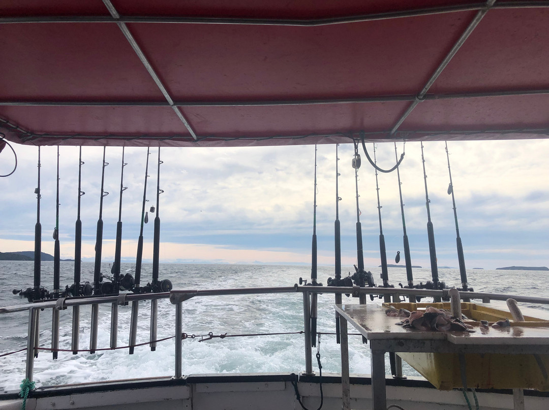 Mana Charters-布拉夫必去景点