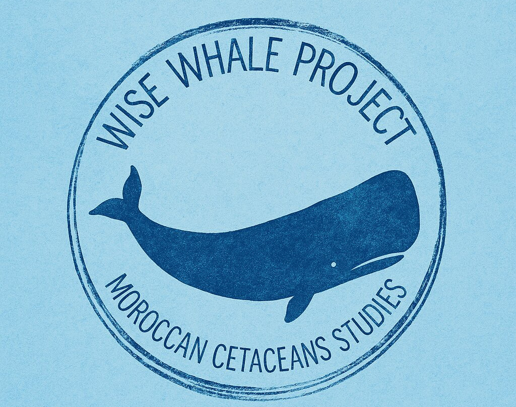 Wise Whale Project
