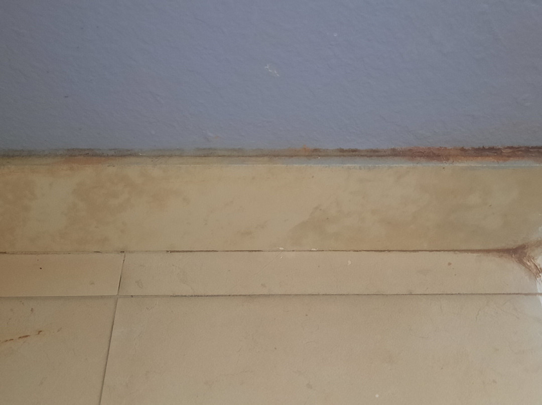 棕榈海岸 I-95 温德姆麦客达套房酒店主图